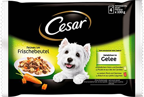 Cesar Hundefutter Nassfutter Feines im Frischebeutel Selektion in Gelee in Gelee, 52 Packungen (13 x 4 x 100g) von Cesar
