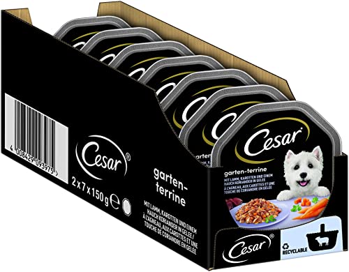 Cesar Hundefutter Nassfutter Empfehlung des Chefkochs Gruss der Saison, 7 er Pack, (7 x 2 Schalen x 150 g) von Cesar