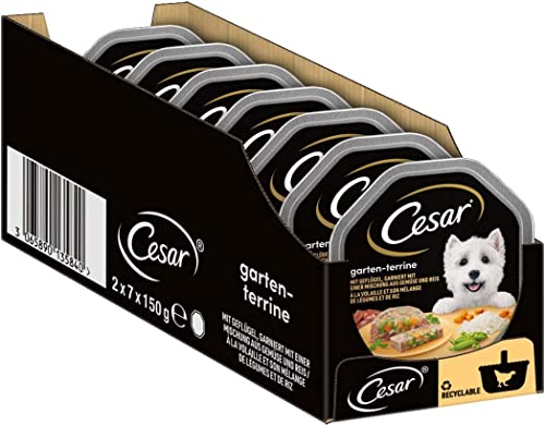 Cesar Hundefutter Nassfutter Gartenvielfalt Geflügel und Gemüse, 7 er Pack, (7 x 2 Schalen x 150 g) von Cesar