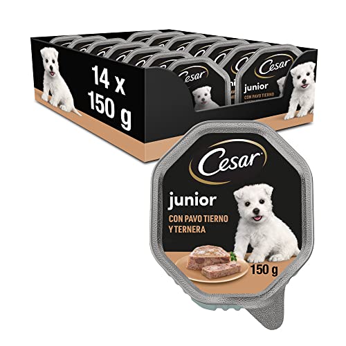 Cesar Junior Hundefutter Welpe Puppy mit zartem Truthahn und Kalb 150 g - 14 Schalen Cesar Junior Hundefutter Welpe Puppy mit zartem Truthahn und Kalb 150 g - 14 Schalen von Cesar