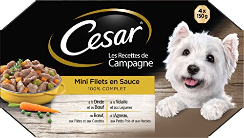 Cesar Les Recettes de Campagne Mini-Netz für Erwachsene Hunde, 4 Geschmacksrichtungen, 6 x 4 Schalen à 150 g Cesar Les Recettes de Campagne Mini-Netz für Erwachsene Hunde, 4 Geschmacksrichtungen, 6 x 4 Schalen à 150 g von Cesar