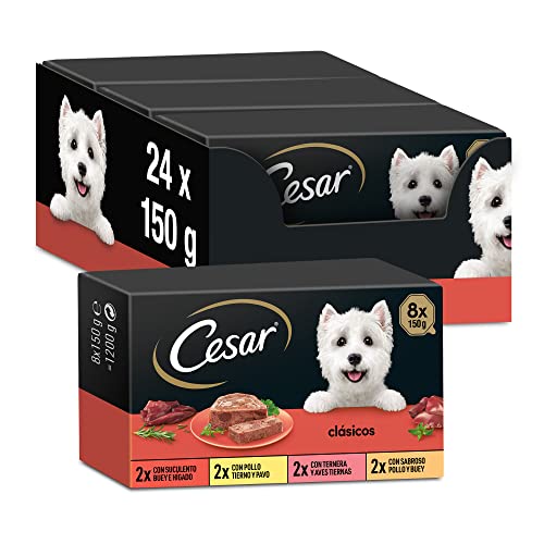 Cesar Nassfutter für Hunde, Auswahl der Klassiker in Pastete, Multipack (3 x 8 Becher x 150 g) von Cesar