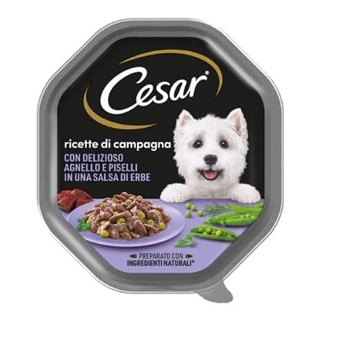 Cesar Rezepte von Feld, Hundefutter 150 g – 14 Tabletts von Cesar