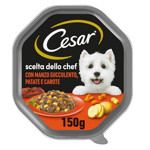Cesar - Scelta dello Chef - Delizie di Stagione - Hundefutter, 14 Schalen à 150 g Cesar - Scelta dello Chef - Delizie di Stagione - Hundefutter, 14 Schalen à 150 g von Cesar