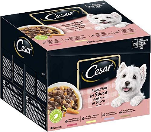 Cesar Selection in Sauce I Hunde-/Nassfutter, 24 Portionsbeutel (24 x 100g) Rind & Karotten, Huhn & Gemüse, Lamm & Erbsen, Truthahn & Karotten I 4X 6 Sorten von Cesar