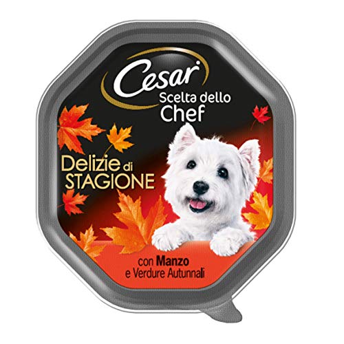 Cesar Chefkoch Nassfutter für Hunde, Leckereien der Saison mit Sukkulentenrind, 150 g, 14 Stück von Cesar