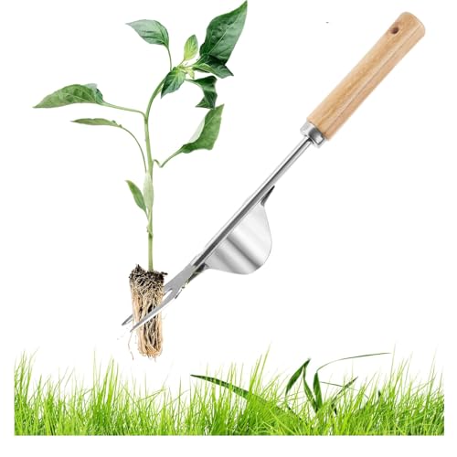 Manueller Unkrautstecher Edelstahl, Manuelles Unkrautjätgerät mit Holzgriff,Werkzeuge zum Unkrautziehen,Handjätgerät für Garten, Manueller Weeder zum Graben,Jäten,Geschenk für Gärtner Gärtnerinnen Manueller Unkrautstecher Edelstahl, Manuelles Unkrautjätgerät mit Holzgriff,Werkzeuge zum Unkrautziehen,Handjätgerät für Garten, Manueller Weeder zum Graben,Jäten,Geschenk für Gärtner Gärtnerinnen von CesmiPSteh