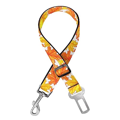 Brpzosi Ahornblatt-Hunde-Sicherheitsgurt, PetLeash Hundegurt, Haustier-Sicherheitsgurt, Hundeleine mit 360° drehbarem Karabiner, Haustierzubehör mit Haken und Schnalle, Erntedankfest Brpzosi Ahornblatt-Hunde-Sicherheitsgurt, PetLeash Hundegurt, Haustier-Sicherheitsgurt, Hundeleine mit 360° drehbarem Karabiner, Haustierzubehör mit Haken und Schnalle, Erntedankfest von Ceudet