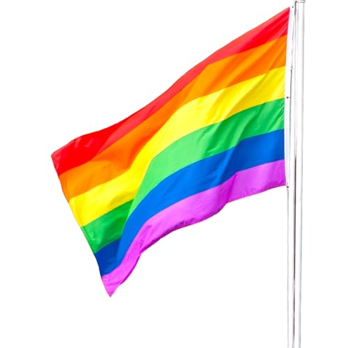 LGBTQ Fahne | LGBTQ Flaggen | Gay Flag | Pride Flag | Fanartikel | strapazierfähiges Polyester | 90x150cm| Regenbogenfahne mit 2 Messingösen | 3x5 ft | Fahne von Cey von Cey