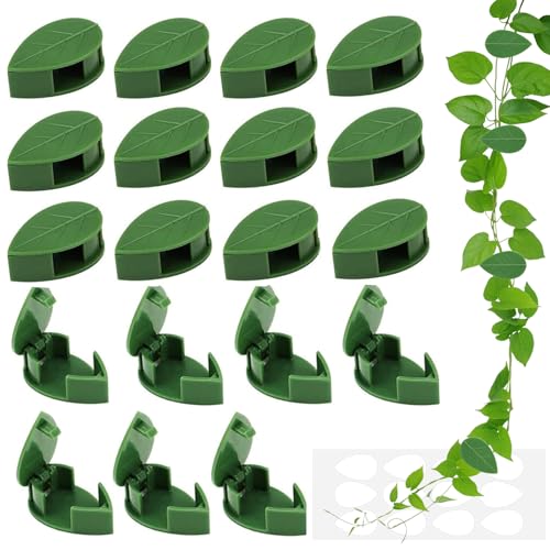 Cfcyhla Pflanzenclips für Kletterpflanzen Wand, 50 Stück Rankhilfehalter Pflanzenclips, Wiederverwendbare unsichtbare Selbstklebende klebrige Acrylhalterun für Gartenarbeit Pflanzenstützung von Cfcyhla