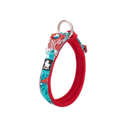 Chai's Choice - Premium Hundehalsband – weiches, gepolstertes, reflektierendes Hundehalsband für große, mittelgroße und kleine Hunde – passendes Geschirr und Leine erhältlich (XL, Tropic Aqua) von Chai's Choice