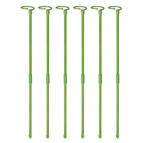 6 Stück runde Rankstäbe für Kletterpflanzen, Halterung für hohe Pflanzen und Blumen, Stützpfahl, Pflanzenstab, Orchidee für Orchideen, Amaryllis, Pfingstrosen, Paprika von Chaies