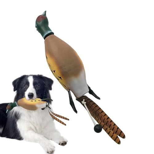 Chaies Hundespielzeug, Ente, Trainingsspielzeug für die Jagd auf Hunde | interaktives Spielzeug für Hunde, Zubehör für Jagdhunde, Entenspielzeug für Hunde, Simulation in Form Chaies Hundespielzeug, Ente, Trainingsspielzeug für die Jagd auf Hunde | interaktives Spielzeug für Hunde, Zubehör für Jagdhunde, Entenspielzeug für Hunde, Simulation in Form von Chaies