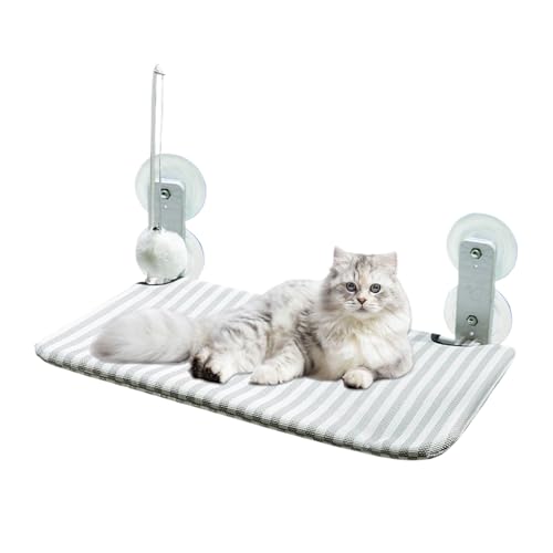 Chaies Katzenkorb | Katzen Hängematte Mit Starken Saugnäpfen | Mit Kissen Für Kätzchen Balkon Terrasse Zimmer Saugnapf Befestigung Drinnen Und Draußen von Chaies