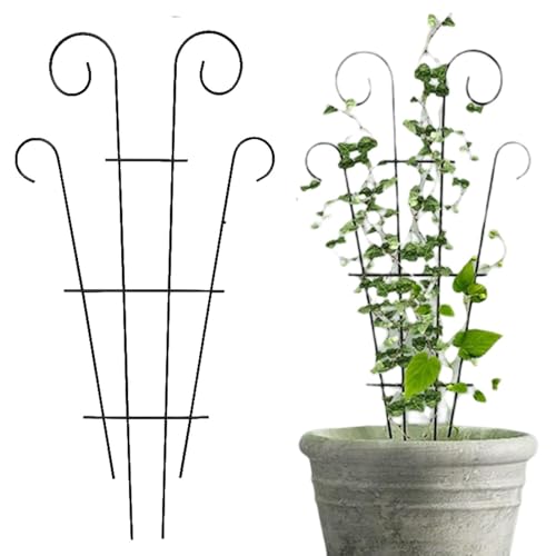 Chaies Pflanzliches Rankgitter für den Innenbereich, robustes und stabiles 2-teiliges Set – Halterung für Terrasse, Heringe für Kletterpflanzen für Gemüse, Blumen, Garten Chaies Pflanzliches Rankgitter für den Innenbereich, robustes und stabiles 2-teiliges Set – Halterung für Terrasse, Heringe für Kletterpflanzen für Gemüse, Blumen, Garten von Chaies