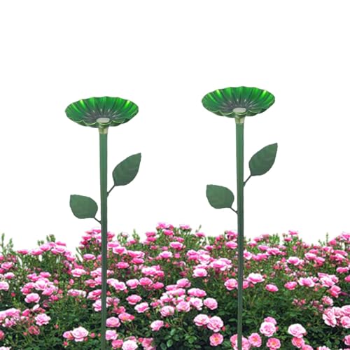 Chaies Vogelfutterstation, Futterschale für Vogeltränke im Freien | Futterstation für Wildvögel, für den Außenbereich, Eichhörnchenfest, für den Außenbereich von Chaies