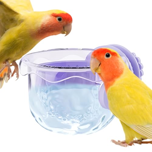 Chaies Vogelnapf, Futterspender, Tragbarer Auslaufsicherer Napf Für Innen Außen Voliere Fütterung Trinken Unterwegs Transport Garten Aras Sittiche Chaies Vogelnapf, Futterspender, Tragbarer Auslaufsicherer Napf Für Innen Außen Voliere Fütterung Trinken Unterwegs Transport Garten Aras Sittiche von Chaies