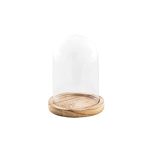 Chaks Paulownia Glasglocke auf Holzständer, 10 x 13,7 cm, Beige von Chaks