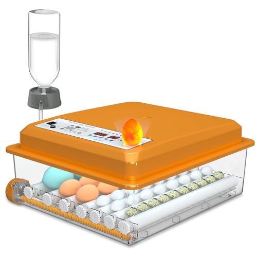 Chalixion Brutautomat Vollautomatisch, Automatisches Wenden 36 Eier, Inkubator mit 4 Automatische Brutmodi, Brutmaschine Temperaturregelung, Feuchtigkeitsanzeige für Hühner, Enten, Gänse und Tauben Chalixion Brutautomat Vollautomatisch, Automatisches Wenden 36 Eier, Inkubator mit 4 Automatische Brutmodi, Brutmaschine Temperaturregelung, Feuchtigkeitsanzeige für Hühner, Enten, Gänse und Tauben von Chalixion