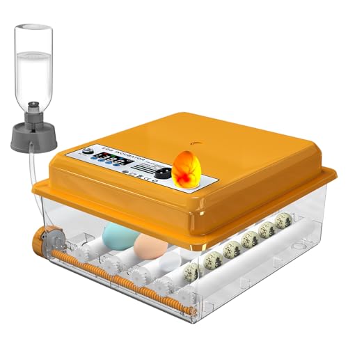 Chalixion Brutautomat Vollautomatisch für 16 Eier mit Temperaturregelung automatischem Wenden, Inkubator Hühner mit verstellbaren Walzen und automatischer Wasserzugabe, Brutmaschine LED Eierleuchte Chalixion Brutautomat Vollautomatisch für 16 Eier mit Temperaturregelung automatischem Wenden, Inkubator Hühner mit verstellbaren Walzen und automatischer Wasserzugabe, Brutmaschine LED Eierleuchte von Chalixion