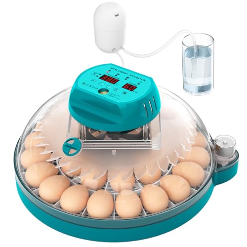 Chalixion Brutautomat Vollautomatisch mit Feuchtigkeitsregelung, 2 automatische Wendemodi, Brutkasten Hühner für 30 Eier mit Temperaturregelung für Hühner, Wachteln und Vögel, Eierdurchleuchter Chalixion Brutautomat Vollautomatisch mit Feuchtigkeitsregelung, 2 automatische Wendemodi, Brutkasten Hühner für 30 Eier mit Temperaturregelung für Hühner, Wachteln und Vögel, Eierdurchleuchter von Chalixion