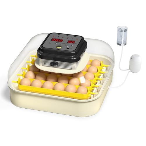 Chalixion Brutautomat Vollautomatisch für 30 Eier, Inkubator mit automatischem Eierwender und Feuchtigkeitskontrolle, Temperaturanzeige, Brutkasten Hühner, Wachteln und Enten, Eierdurchleuchter Chalixion Brutautomat Vollautomatisch für 30 Eier, Inkubator mit automatischem Eierwender und Feuchtigkeitskontrolle, Temperaturanzeige, Brutkasten Hühner, Wachteln und Enten, Eierdurchleuchter von Chalixion