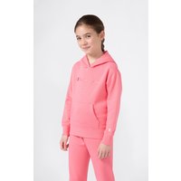 Champion Kapuzensweatshirt "ICONS Hoodie" 1 Stk. tlg. von Champion