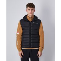 Champion Steppweste "Polyfilled Vest" Champion Steppweste "Polyfilled Vest" von Champion