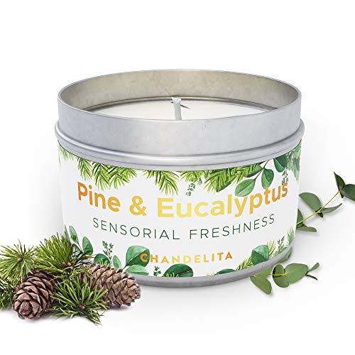 Chandelita Duftkerze mit Kiefer & Eukalyptus für Entspannung & Wohlbefinden – Handgemachte Duftkerzen aus Sojawachs – Vegane Kerze mit Ätherischen Ölen – Aromatherapie Candle – Zirben Kerze Chandelita Duftkerze mit Kiefer & Eukalyptus für Entspannung & Wohlbefinden – Handgemachte Duftkerzen aus Sojawachs – Vegane Kerze mit Ätherischen Ölen – Aromatherapie Candle – Zirben Kerze von Chandelita