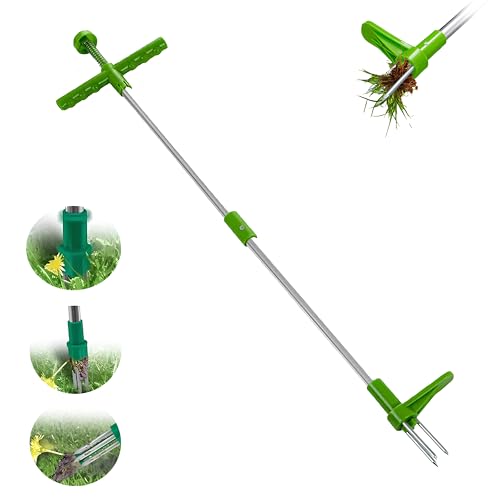 Unkrautentferner Länge 100cm,mit DREI Kiefer und Edelstahl-Pedale für Effizientes Entfernen von Unkraut,Unkrautstecher mit Stiel Kein Verbiegen zum Entfernen von Wurzeln,Gartenwerkzeug von ChaneeHann