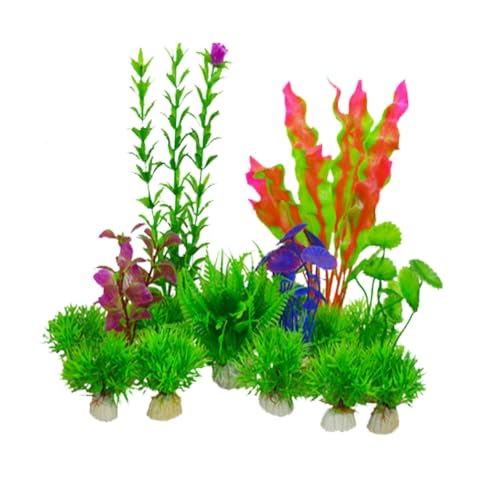 Changyeah 16 Aquarium Kunstpflanzen Seetang,Erschaffe Unterwasserwelt,Kunststoffpflanzen Aquariumpflanze,Künstliche Teichpflanzen Gelten Aquarium,Höhle Fisch Tank Ornament Dekoration Changyeah 16 Aquarium Kunstpflanzen Seetang,Erschaffe Unterwasserwelt,Kunststoffpflanzen Aquariumpflanze,Künstliche Teichpflanzen Gelten Aquarium,Höhle Fisch Tank Ornament Dekoration von Changyeah
