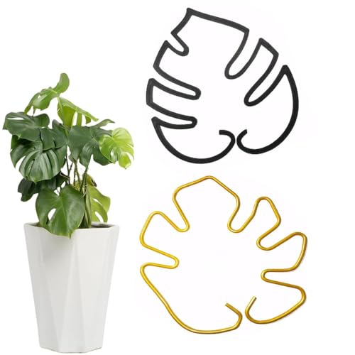 Changyeah Rankhilfe für Zimmerpflanzen,2 Stück Rankhilfe Pflanzenstütze,Garten Pflanzenstütze Rankhilfe,Rankhilfen für Kletterpflanzen,Blumenstütze Topfpflanzen(Gold und Schwarz) von Changyeah