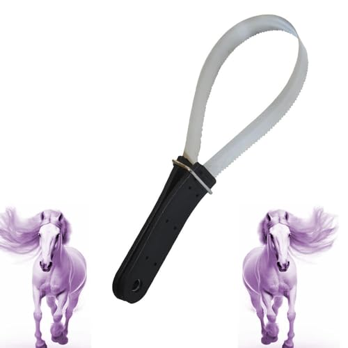 Changyeah idealer Metallstriegel zum Abziehen von Schweiß,Schweißmesser mit Zacken,Metallstriegel mit Doppelseitiger Klinge und Abnehmbarem Griff,Federstriegel Werkzeug für Haustiere(schwarz) von Changyeah