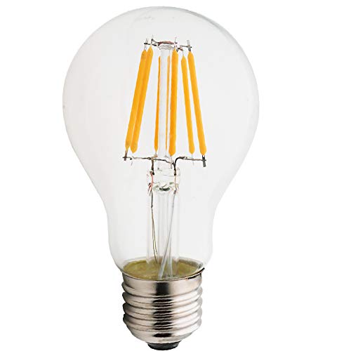6W E27 Filament LED Edison Lampe A60, 2700K Warmweiß, Ersatz für 50W Glühlampe, nicht dimmbar, Rustikalampe Filamentstil klar (1 er Pack) von Chao Zan