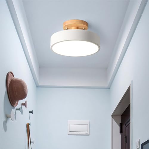 Chao Zan Modernes Wohnzimmer LED kleine Deckenleuchten,Kreative Küchenleuchte,13W Dimmen 3 Farben 3000K/4500K/6000K,für Esszimmer,Schlafzimmer,Korridorbeleuchtung Ø18CM (Weiß) von Chao Zan