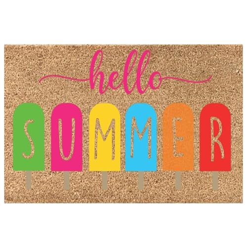 Sommer-Fußmatte – 16 x 24 Zoll Willkommens-Fußmatte | Willkommensmatte für die Haustür | Hallo Sommer Fußmatte | Willkommene Eingangstürmatte | Rutschfester Fußmatten-Teppich für den Innen- und Außenb von Chappal