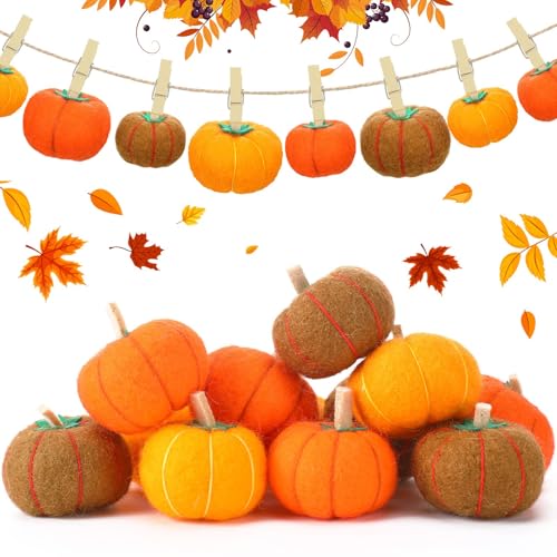 Herbstdekorationen, 12 Stück Filz-Kürbis-Dekorationen, Halloween-Dekorationen für den Innenbereich, Herbst-Kürbis-Dekor, Kürbis-Girlande, Halloween-Kürbis-Dekorationen, Herbst-Dekorationen Herbstdekorationen, 12 Stück Filz-Kürbis-Dekorationen, Halloween-Dekorationen für den Innenbereich, Herbst-Kürbis-Dekor, Kürbis-Girlande, Halloween-Kürbis-Dekorationen, Herbst-Dekorationen von Charfia