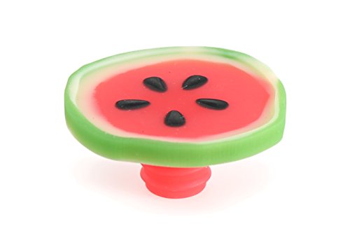 VIANCIN Wassermelone Flasche Stopper Set von 2 von Charles Viancin