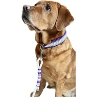 Paracord Halsband - Und Leinenset "Eisprinzessin" Paracord Halsband - Und Leinenset "Eisprinzessin" von CharlilyHandmade