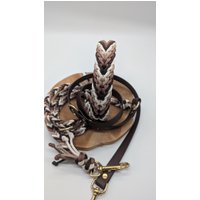 Paracord Hundehalsband & Biothane/Paracordleine "Herbstvibes" Paracord Hundehalsband & Biothane/Paracordleine "Herbstvibes" von CharlilyHandmade