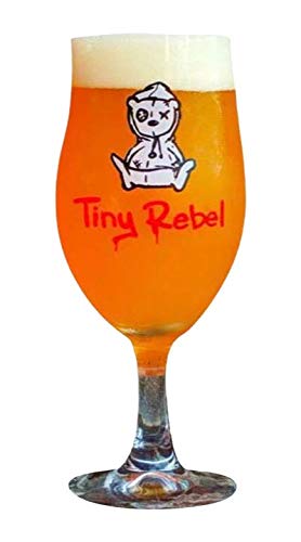 Tiny Rebel Bierglas Schooner Half Pint 2/3 Pint Nukleated (1 Glas) von Charm Foot