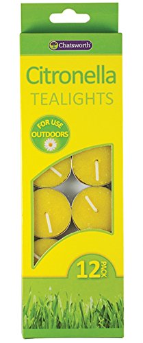 Citronella Teelicht Kerzen - 12er Pack von Chatsworth