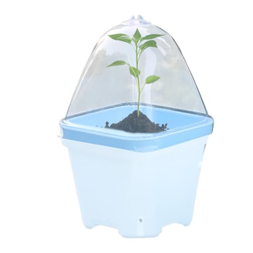 Chdnhe Gartenhaube - Transparente Pflanzenhaube Mit Rundbogenform - 10 Stück Mini Topfdeckel für Isolierung Anzucht Gartenblumen Feuchtigkeitskontrolle und Gewächshaus mit Regenschutz von Chdnhe