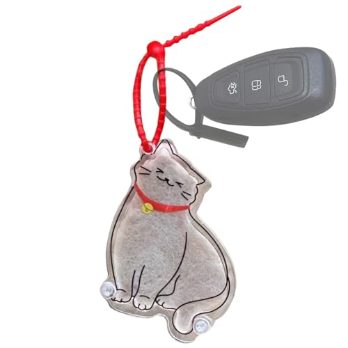 Chdnhe Katzenhaar Andenken,Katzenhaar Sammler Andenken | Akril Dekoration Niedliches Souvenir für Damen Herren Jugendliche Rucksack Schulranzen Handtasche Haustier von Chdnhe