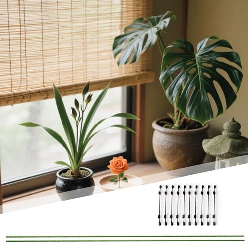 Chdnhe Pflanzenstäbe,Pflanzenstützen Indoor - Biegsame Metallstäbe Mit Klemmen Für Gewächshaus Gartenbereich Rasen Beet Indoor Outdoor Orchideen Gemüsepflanzen Verstellbar von Chdnhe