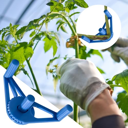Chdnhe Pflanzenstiel-Trainingsclips, Astzieher-Asthalter-Clip - Pflanzentrainer & Bender - Pflanzenschutz, wetterbeständiger Asthalter-Clip für Weinreben und Chdnhe Pflanzenstiel-Trainingsclips, Astzieher-Asthalter-Clip - Pflanzentrainer & Bender - Pflanzenschutz, wetterbeständiger Asthalter-Clip für Weinreben und von Chdnhe
