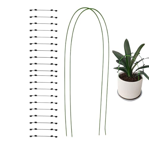 Chdnhe Pflanzenstütze - Pflanzenstützen Indoor | Biegsame Metallstäbe Mit Klemmen Für Gewächshaus Gartenbereich Rasen Beet Indoor Outdoor Orchideen Gemüsepflanzen Verstellbar von Chdnhe