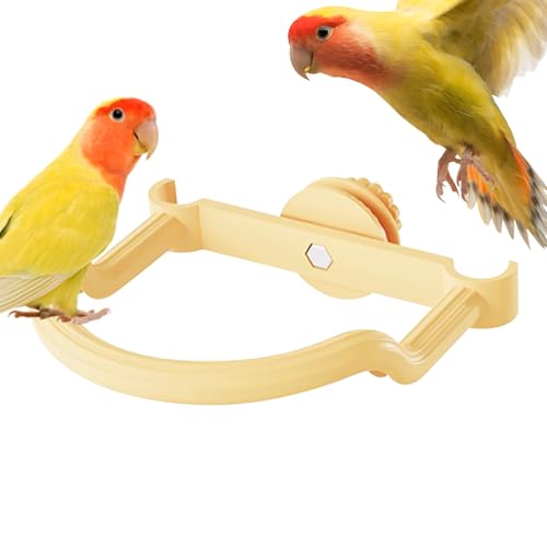 Chdnhe Vogelsitzstangen Für Käfig, Sitzstangen Für Großvögel, wasserdichte Standplatz Haustierzubehör Für Nymphensittich Conure Unzertrennlicher Fink Ara Kletterübungen Pflege von Chdnhe