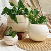 Selbstbewässernder Blumentopf Aus Keramik - Handgefertigt in Italien Moderner Innentopf Mit Dochtsystem 3 Größen + Untertasse Selbstbewässernder Blumentopf Aus Keramik - Handgefertigt in Italien Moderner Innentopf Mit Dochtsystem 3 Größen + Untertasse von CheFigoIdea