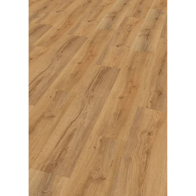Check Click-Vinylboden Comfort Agullana Eiche von Check